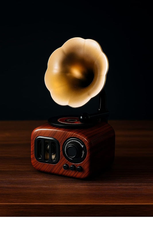 Voice Recorder Showpiece