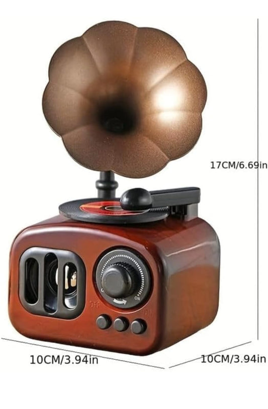 Voice Recorder Showpiece